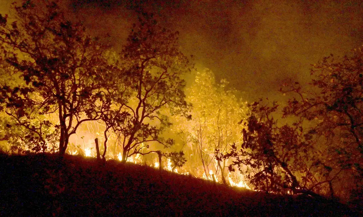 Delegado da PF diz que há indícios de ação coordenada em incêndios