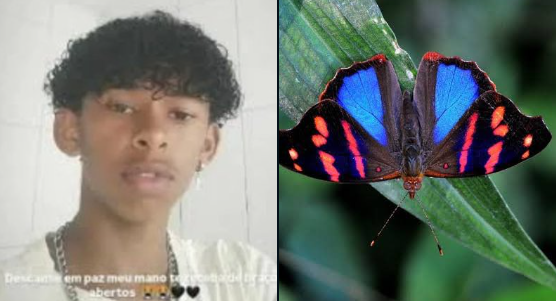 Adolescente perde a vida na Bahia após experimentar substância caseira com borboleta e água