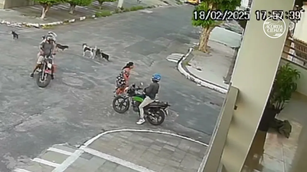 mulher é atacada por cachorros de rua no bairro Santa Mônica