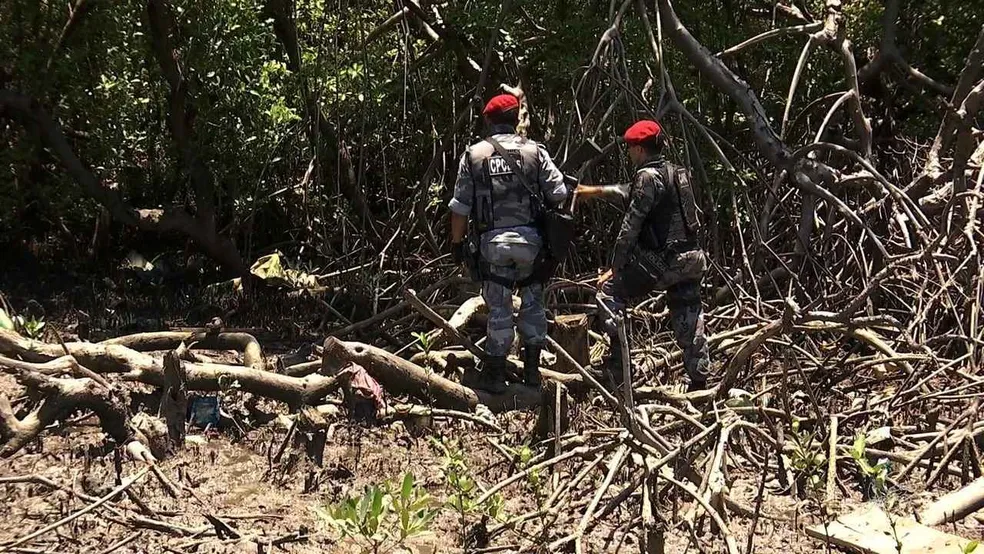 Três acusados de matar e decapitar uma mulher foram soltos por uma juíza que entendeu que eles não oferecem risco à sociedade. Três acusados de matar e decapitar uma mulher foram soltos por uma juíza que entendeu que eles não oferecem risco à sociedade.